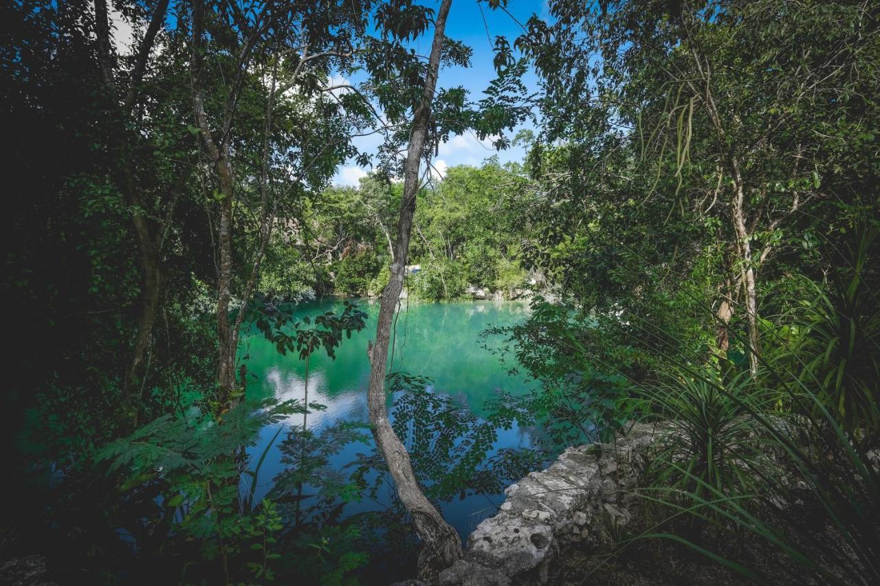 Wakax Hacienda - Cenote & Boutique Hotel Tulum Exterior foto